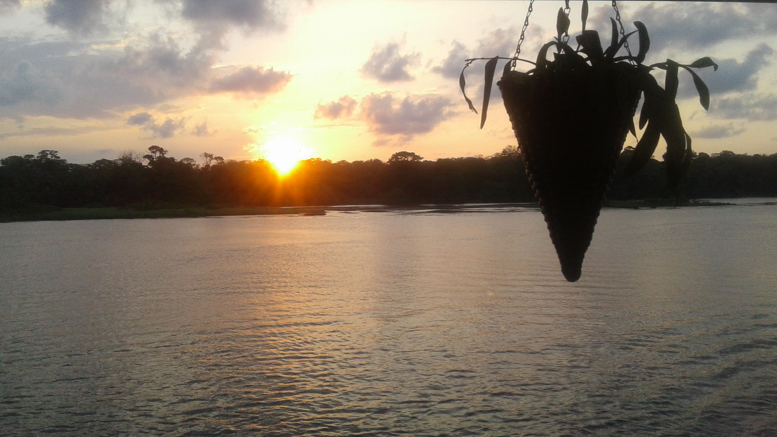 Tour │Tortuguero + Ruta de los héroes del 56