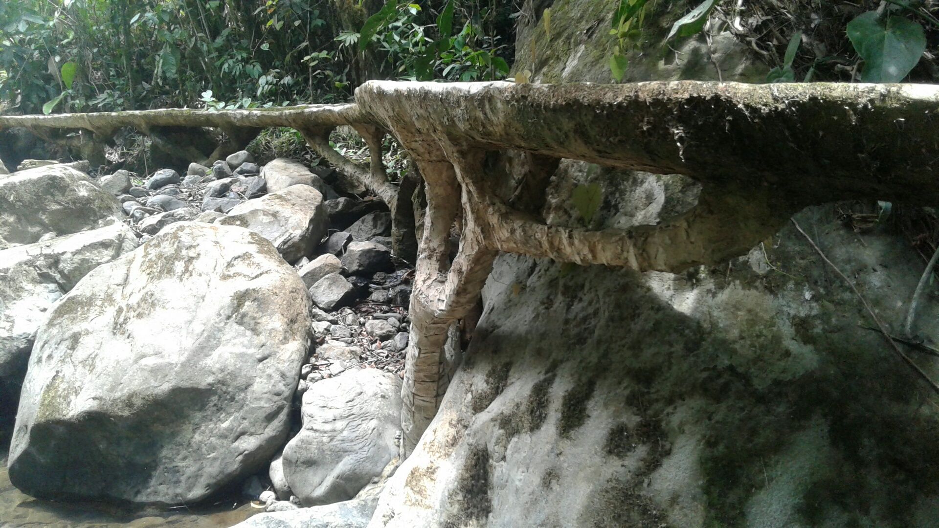 20170415_115746_resized Revela encuesta: 70% de costarricenses no visitan su país