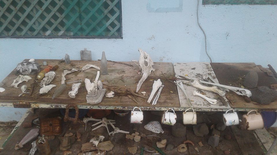 Denuncian saqueo de la Isla San Lucas