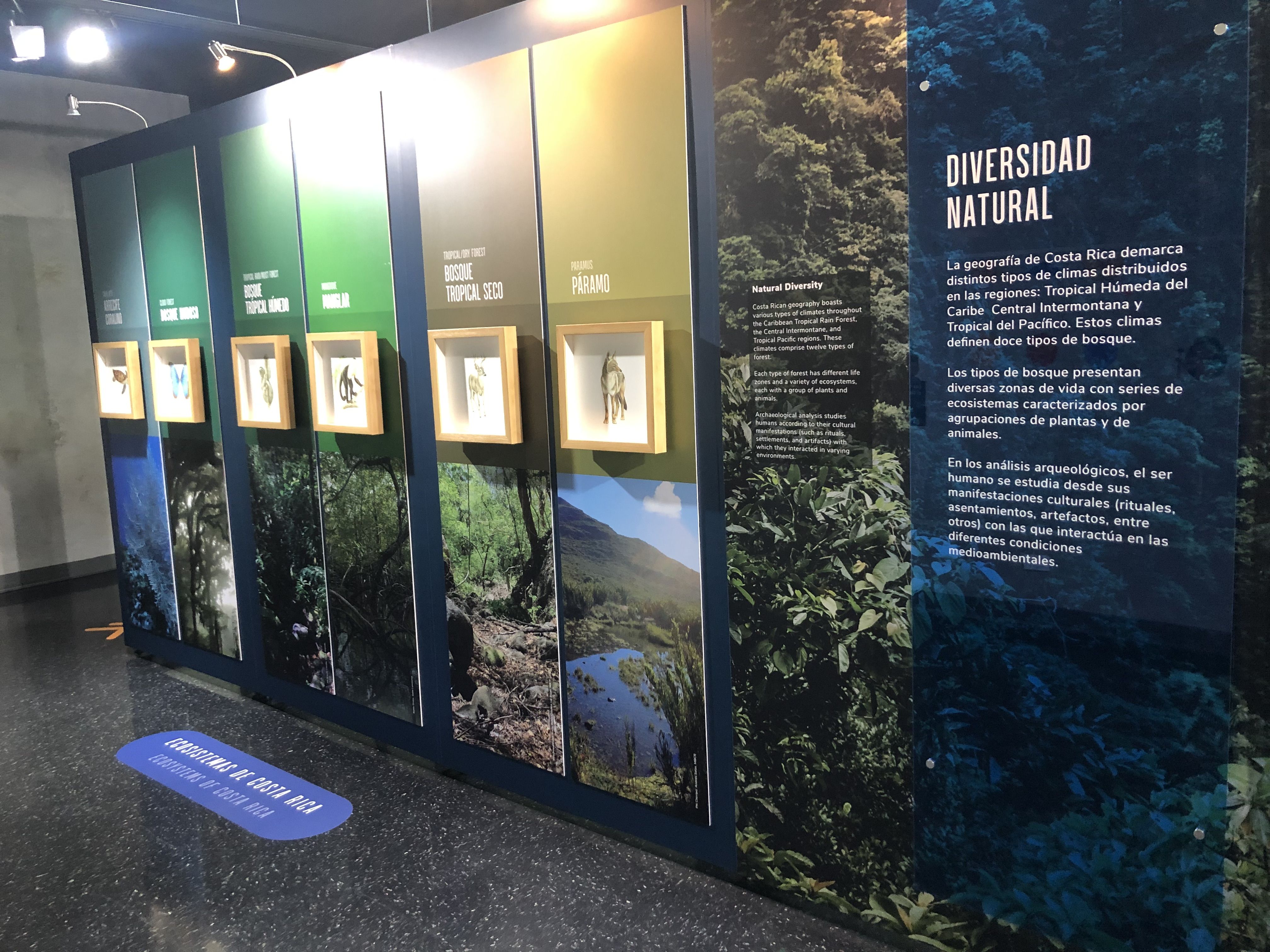 Tres museos se unen para explorar espiritualidad indígena