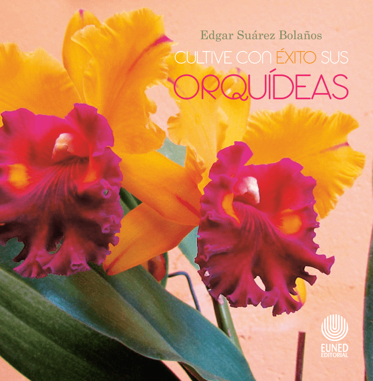 Orquídeas, cómo cultivarlas en Costa Rica