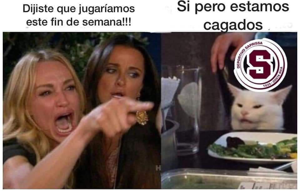 Dijiste que… el meme de la mujer y el gato que invade las redes
