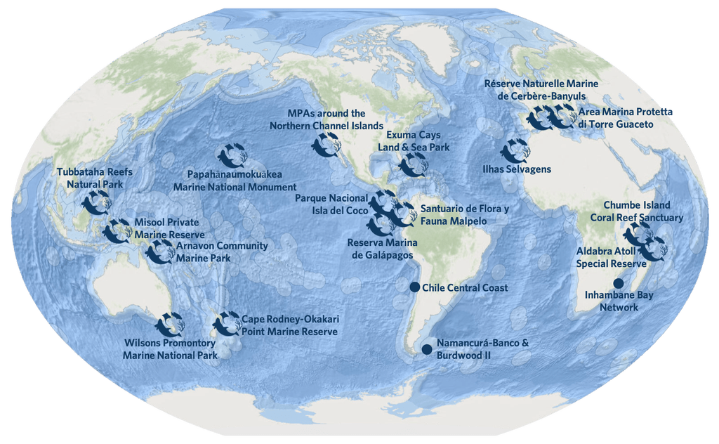 Isla del Coco pasa a formar parte de 16 exclusivos refugios oceánicos del planeta