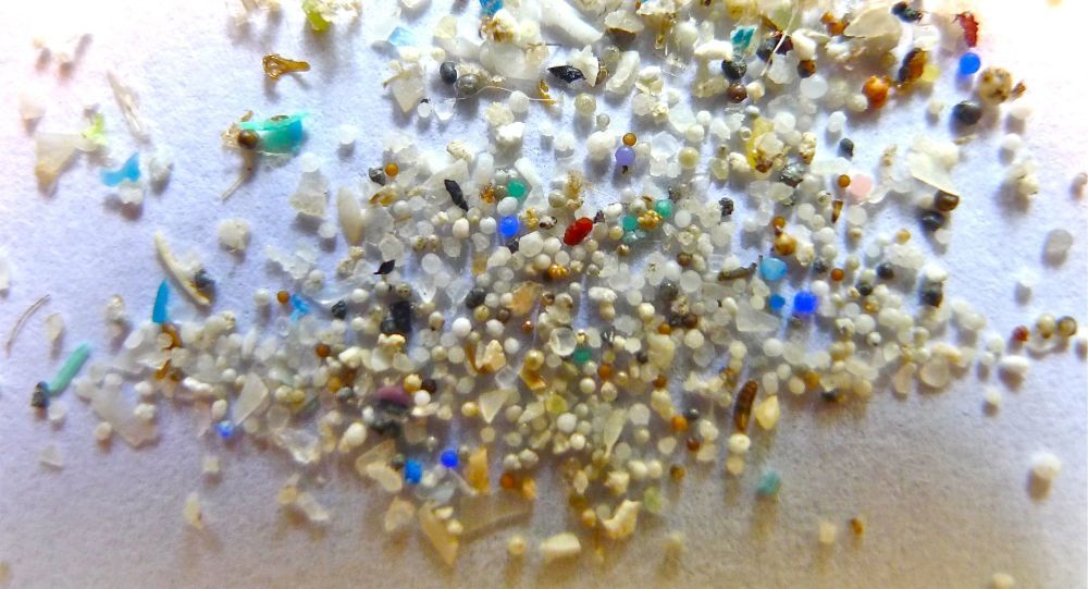 La ‘Tortuga guardián’ que detecta microplásticos en los océanos | Vídeo