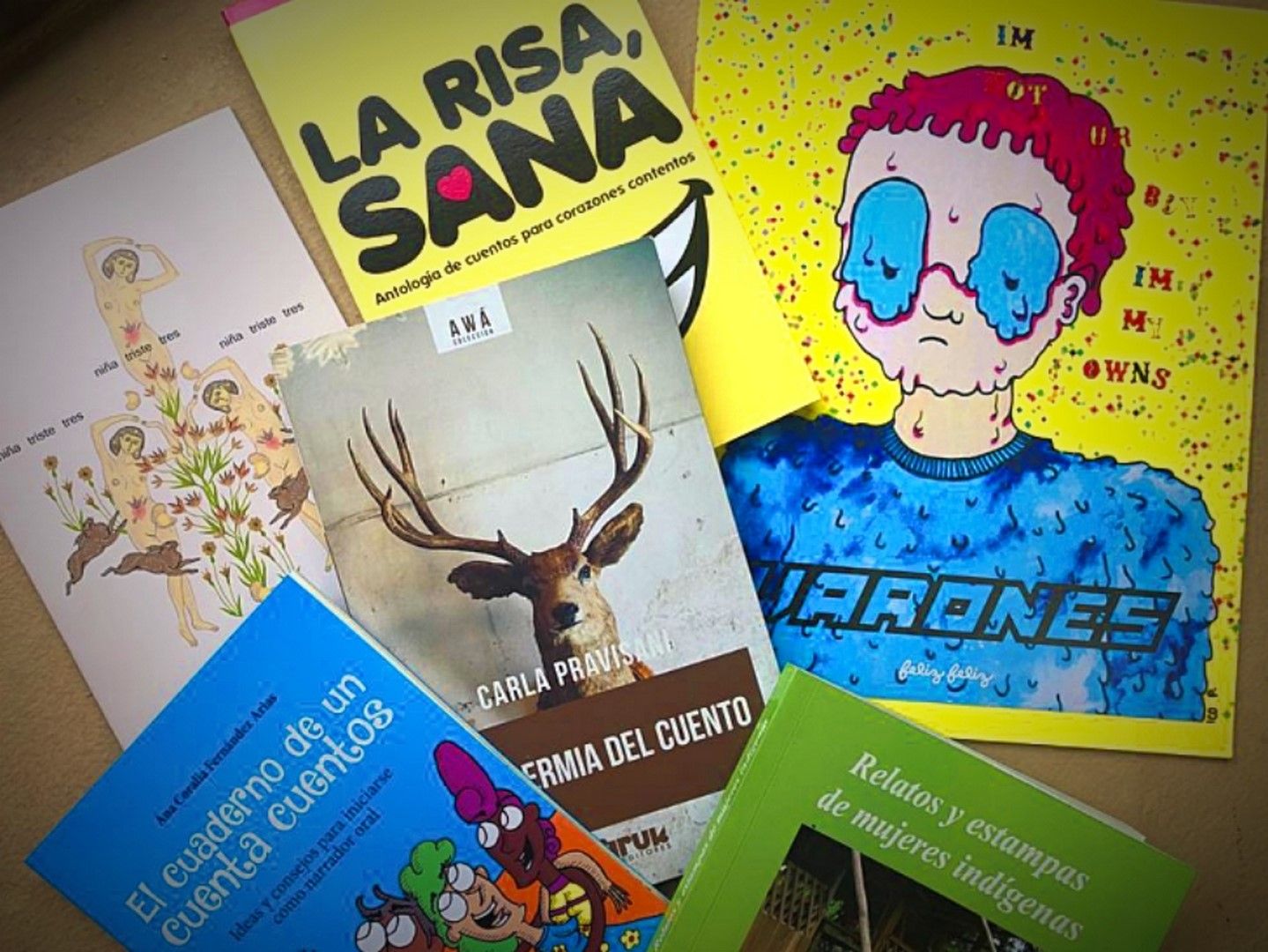 Colegio de Costa Rica anuncia 13 ganadores de becas al fomento literario