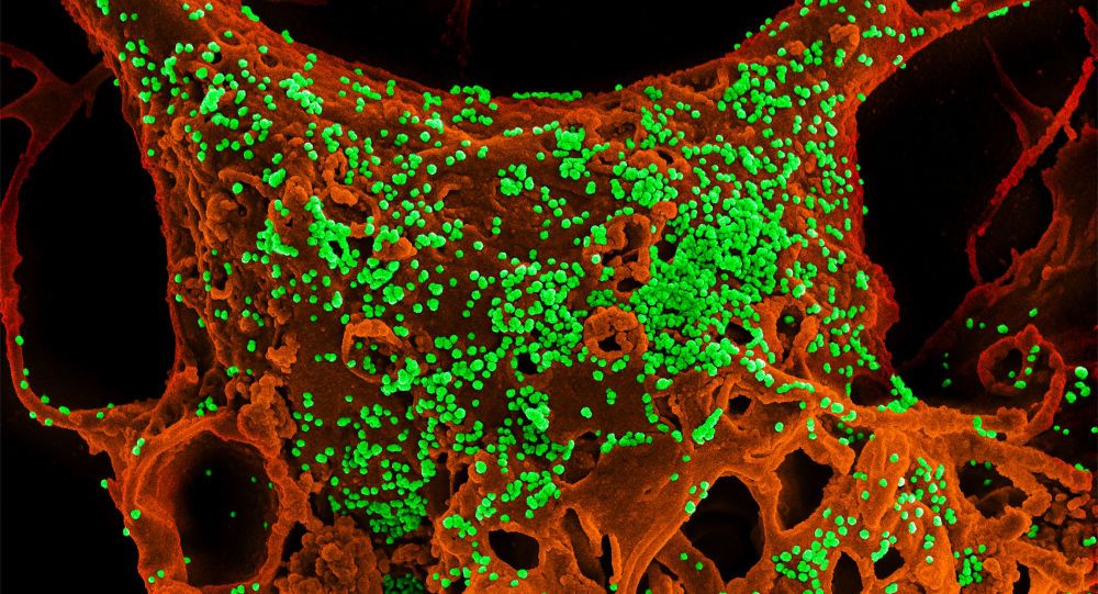 Confirmado el primer caso sospechoso del coronavirus Covid-19
