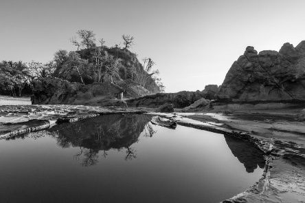 Exposición: La belleza de la verde naturaleza en blanco y negro