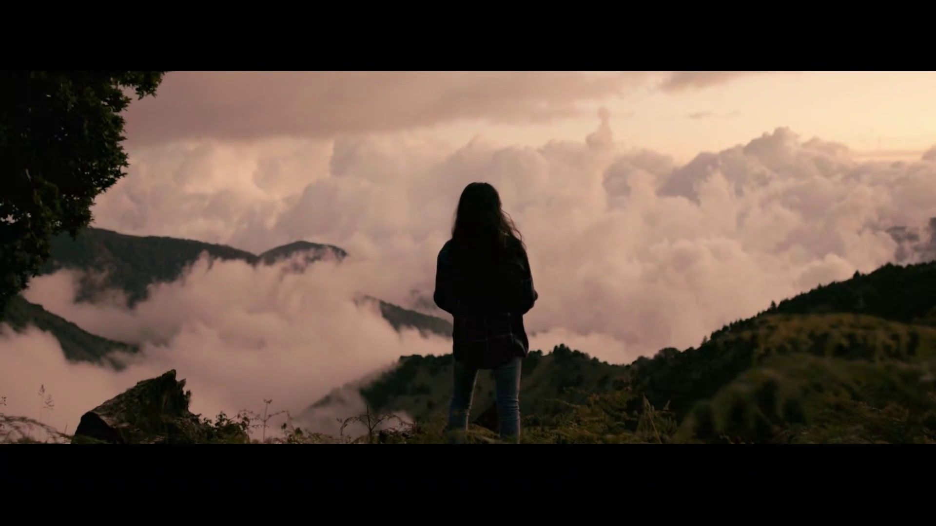 velada Festival Internacional de Cine de Costa Rica anuncia su selección oficial 2020