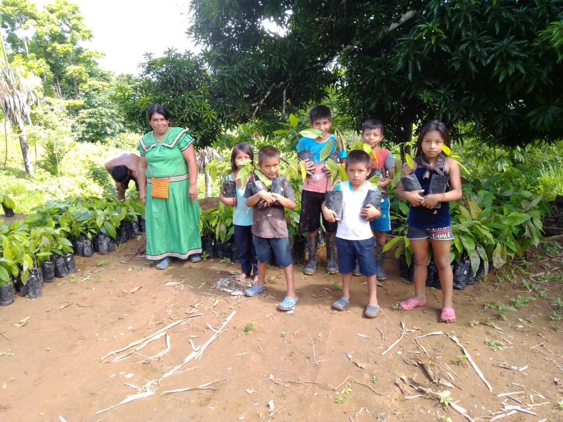 La situación de las culturas indígenas costarricenses: del olvido a la recuperación de tierras y asesinatos