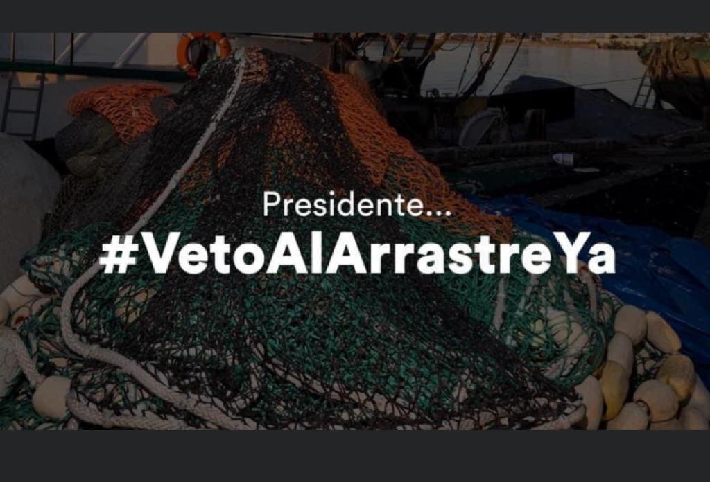 ¡Más de 117 organizaciones piden el veto a pesca de arrastre!