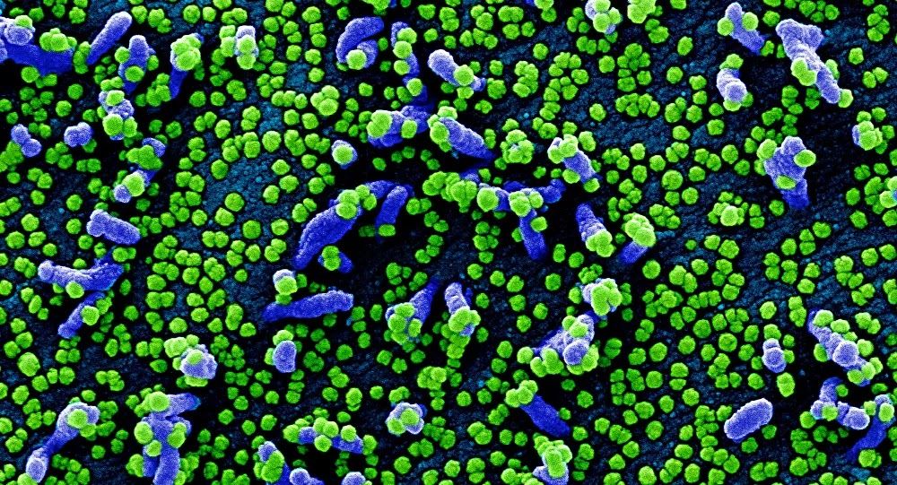 Detectan primeros casos de las variantes brasileña y californiana del coronavirus en Costa Rica