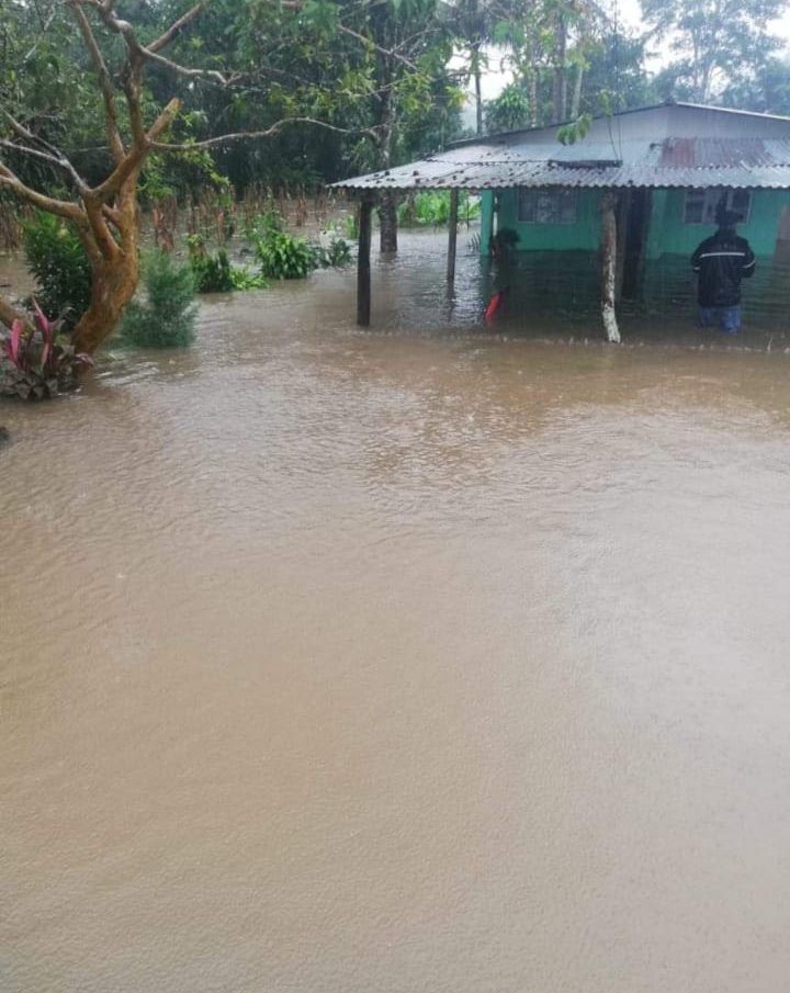 Último reporte: ¡En alerta roja! Coto Brus, Corredores, Golfito, Parrita, Quepos, Hojancha, Nicoya y Nandayure
