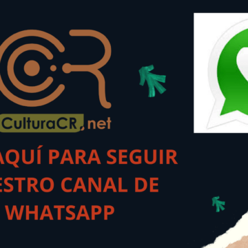 ¿Por qué los canales de WhatsApp son una belleza (por ahora) y por qué lo invitamos a este