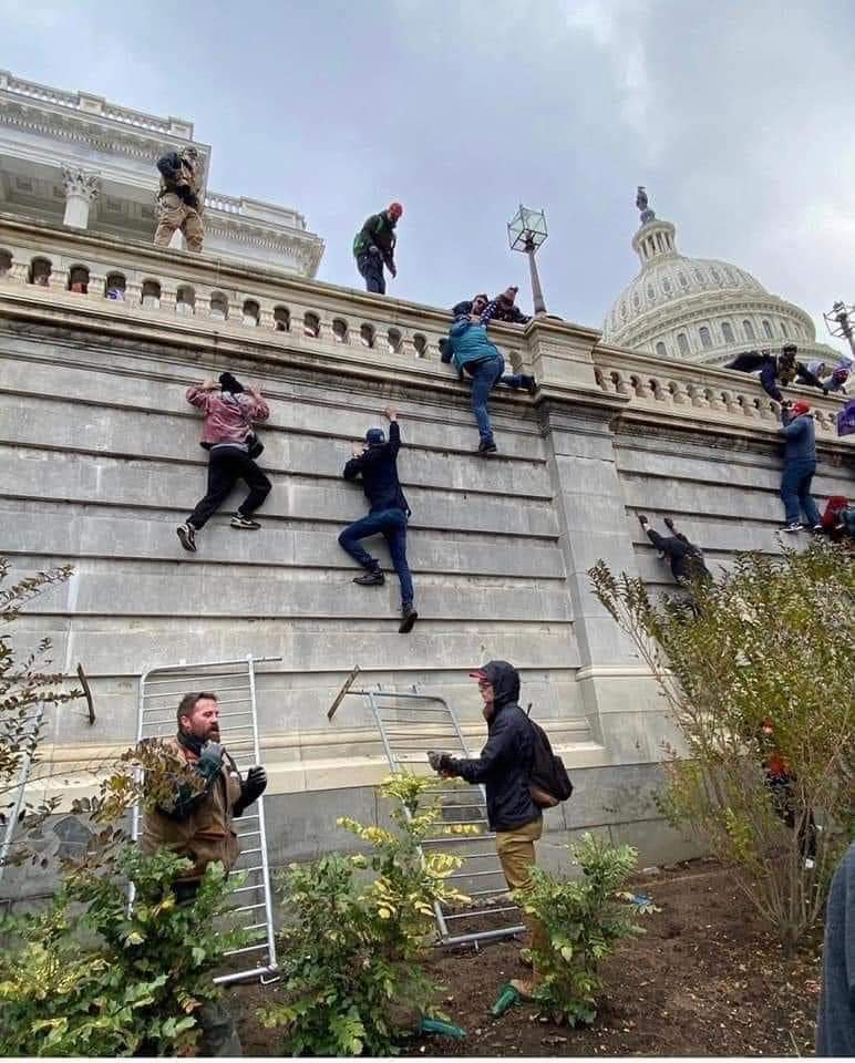 Diario noticioso: los últimos hechos sobre la crisis en el Capitolio de EE.UU.