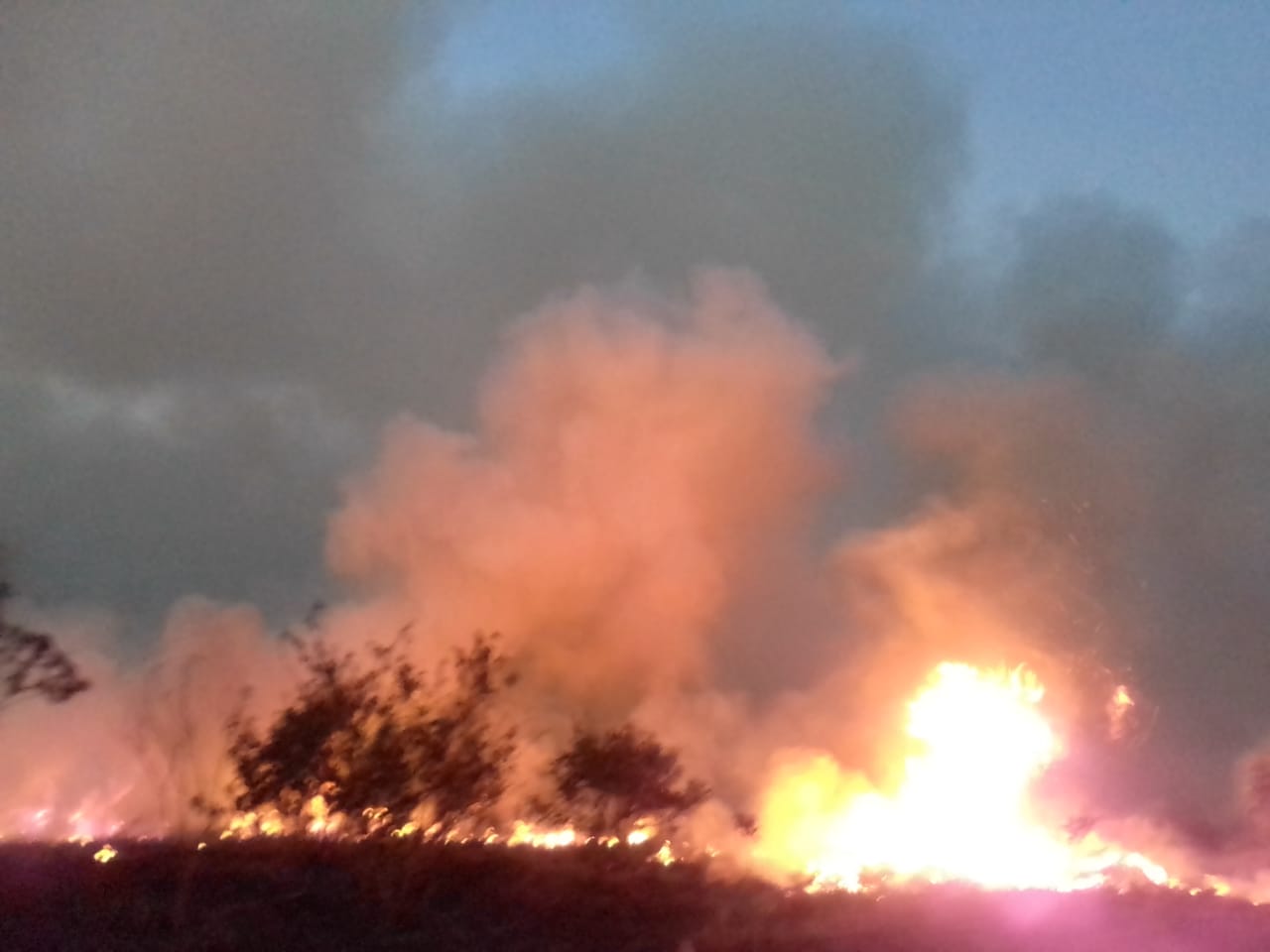 3 días de incendios provocados en tierras recuperadas por indígenas en China Kichá ◘ Video