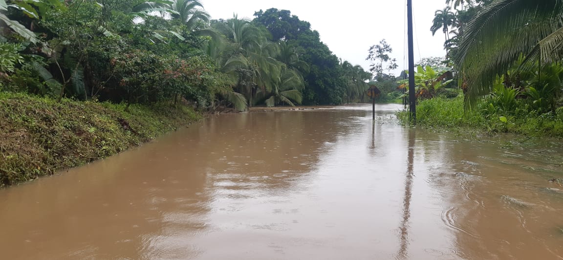 Reporte de la CNE: Lluvias afectan varias comunidades de San Carlos