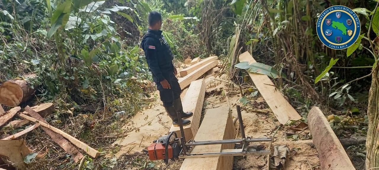 Talaban ilegalmente propiedad del estado en Río Claro de Golfito