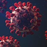 Infobreves de salud: el cerebro humano es en realidad dos órganos y "editan" células madre