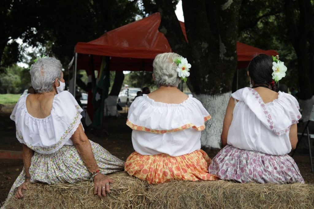 Población de 65 años o más: Costa Rica tendrá solo 2,4 cotizantes por cada pensionado del IVM en 2050, frente a los 5 actuales