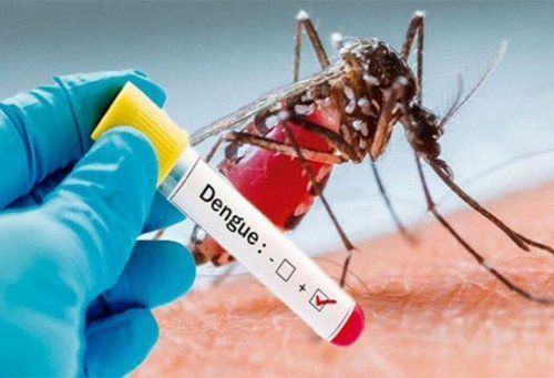 Casos de dengue bajan 69% respecto al año pasado