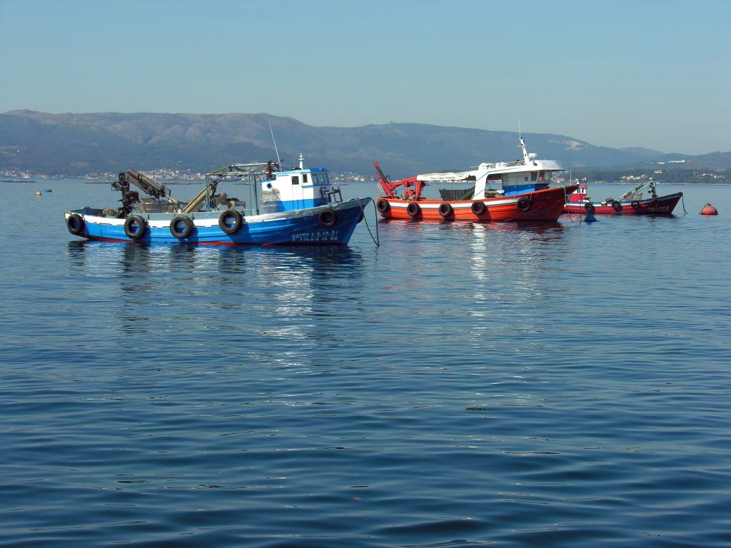 Presidente firma ley que dará $82 millones a sector pesquero 1 Frente Amplio propone dotar de licencia para pesca turística y deportiva a los pescadores artesanales