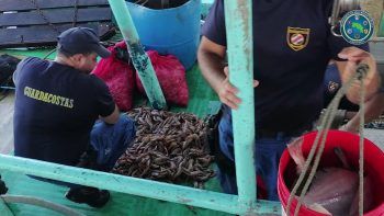 Pesca de arrastre5