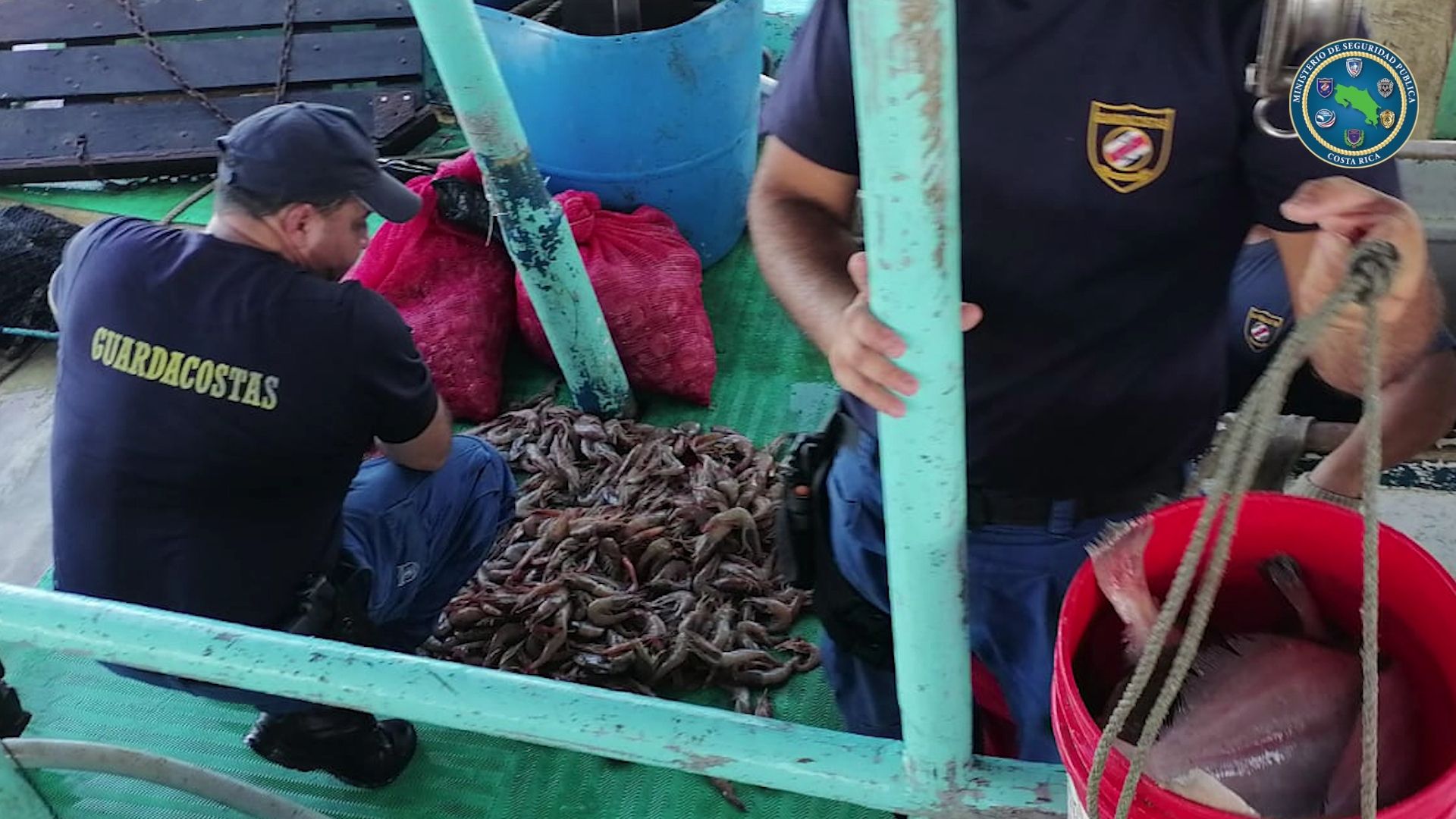 Nuevo ministro de Costas y Mares no descarta insistir en pesca de arrastre y captura de más especies permitidas