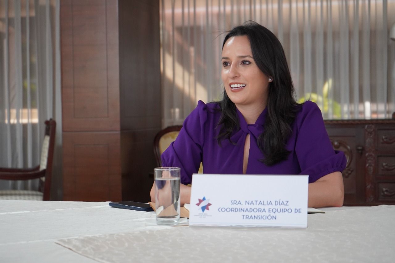 Natalia-Diaz-Presidencia Gobierno no ve con buenos ojos proyecto de ley construido por la inteligencia artificial