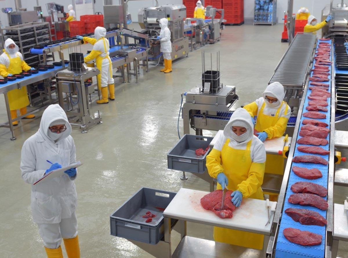 Planta-procesamiento-carnes-embutidos Hallazgos y consejos de salud de los últimos días: El colesterol malo causó 3,6 millones de muertes en el mundo durante un año