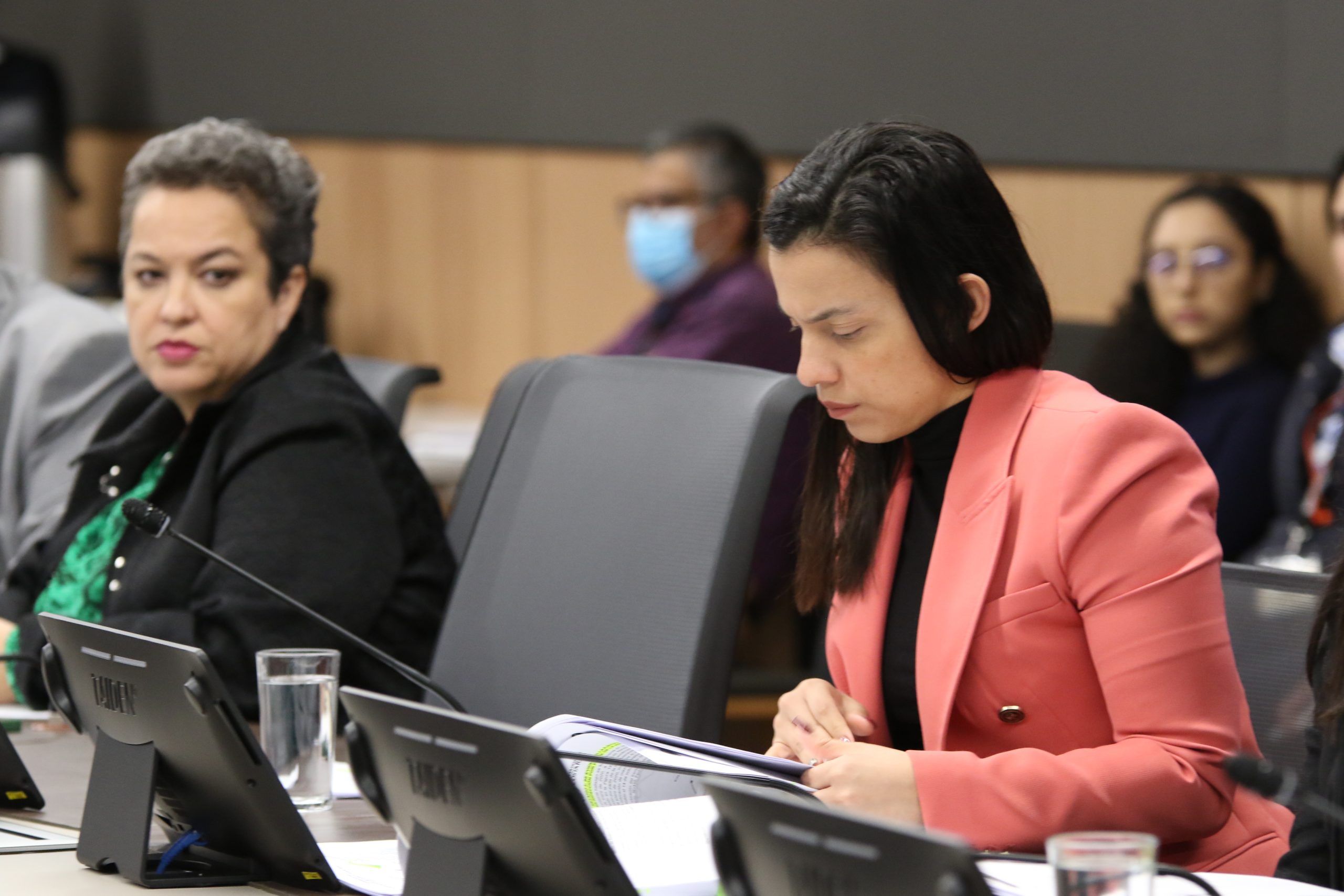 Legisladora Sofía Guillén sobre fraude fiscal.