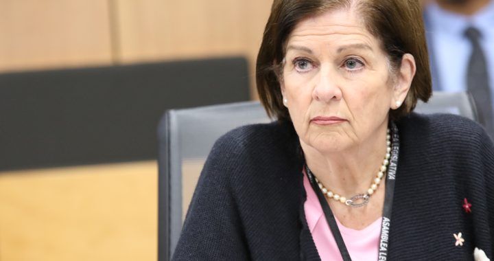Diputados chavistas alegan persecución contra Pilar Cisneros por alerta migratoria en investigación de campaña electoral de 2022