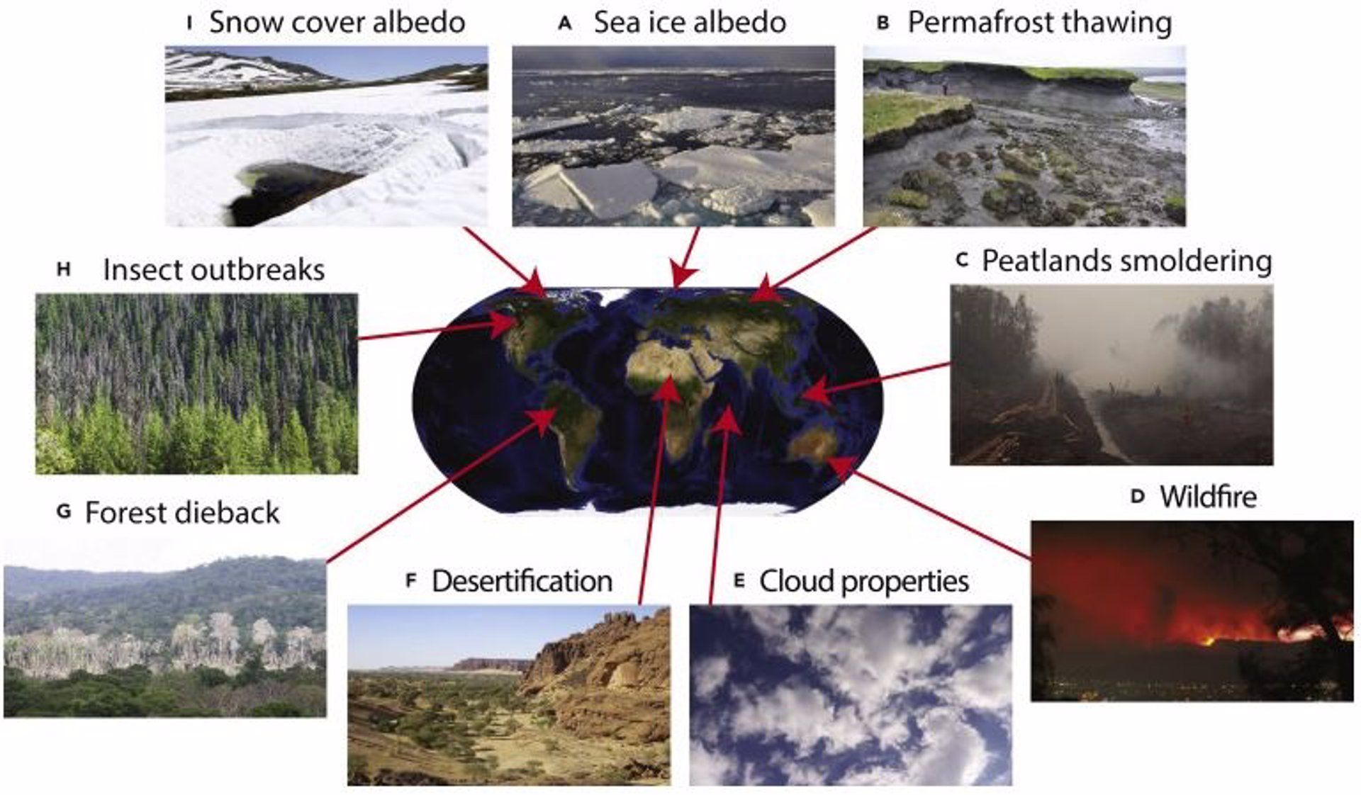 Bucles de retroalimentación climática.