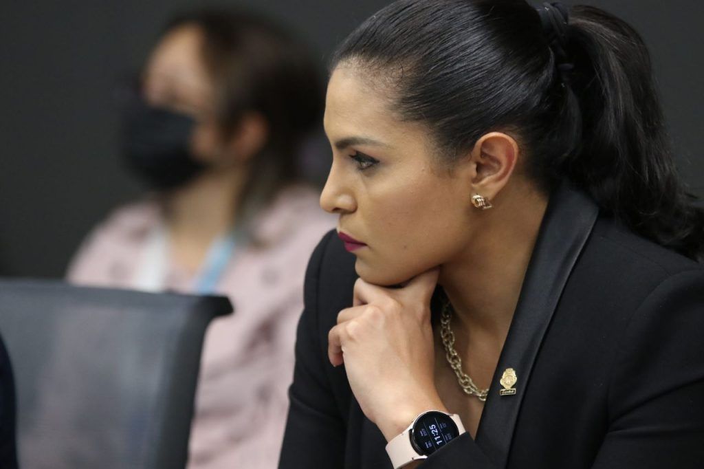 Diputada contra proyecto que regula imagen de la mujer.