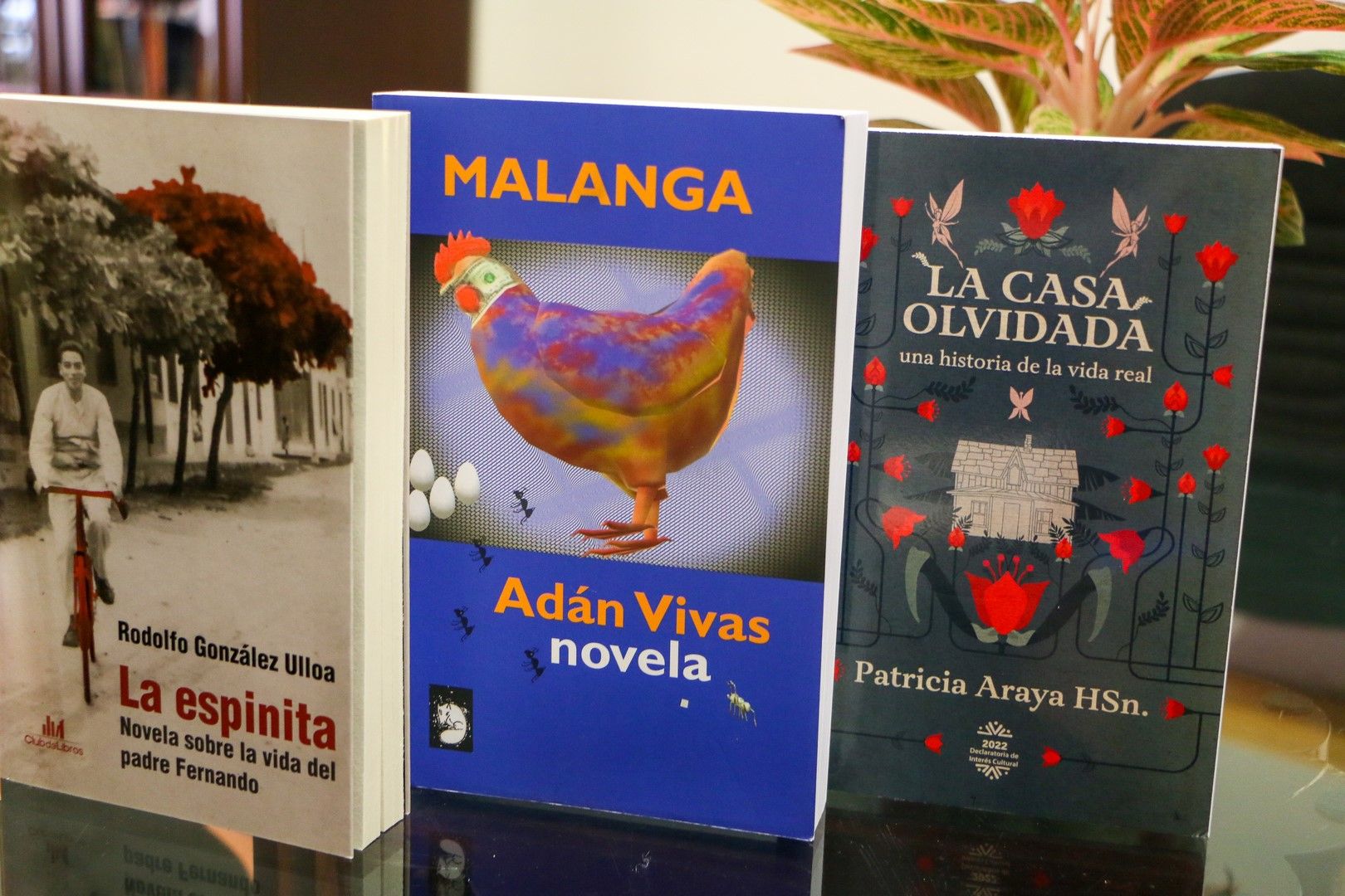 Oportunidad para creadores de literatura.