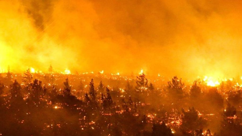 incendios chile