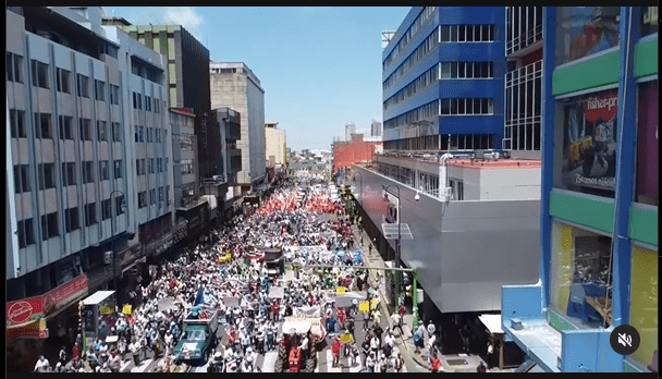 Vista panorámica de la marcha por los agricultores que ocupó unas 7 cuadras de la Avenida Segunda