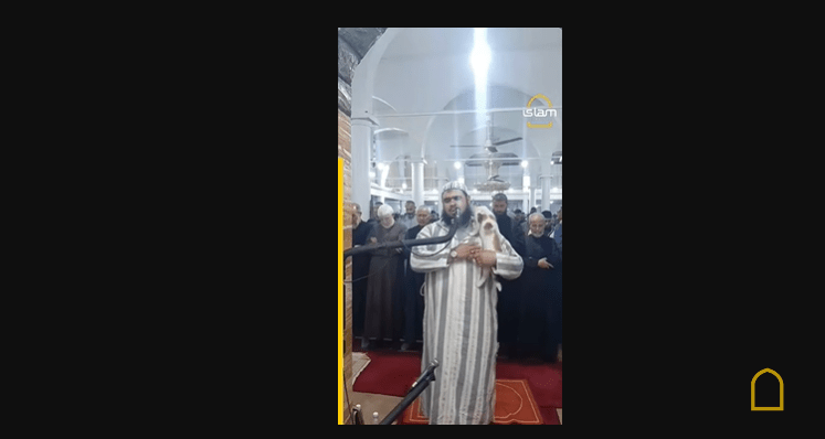 Gato salta sobre un Imam en oración