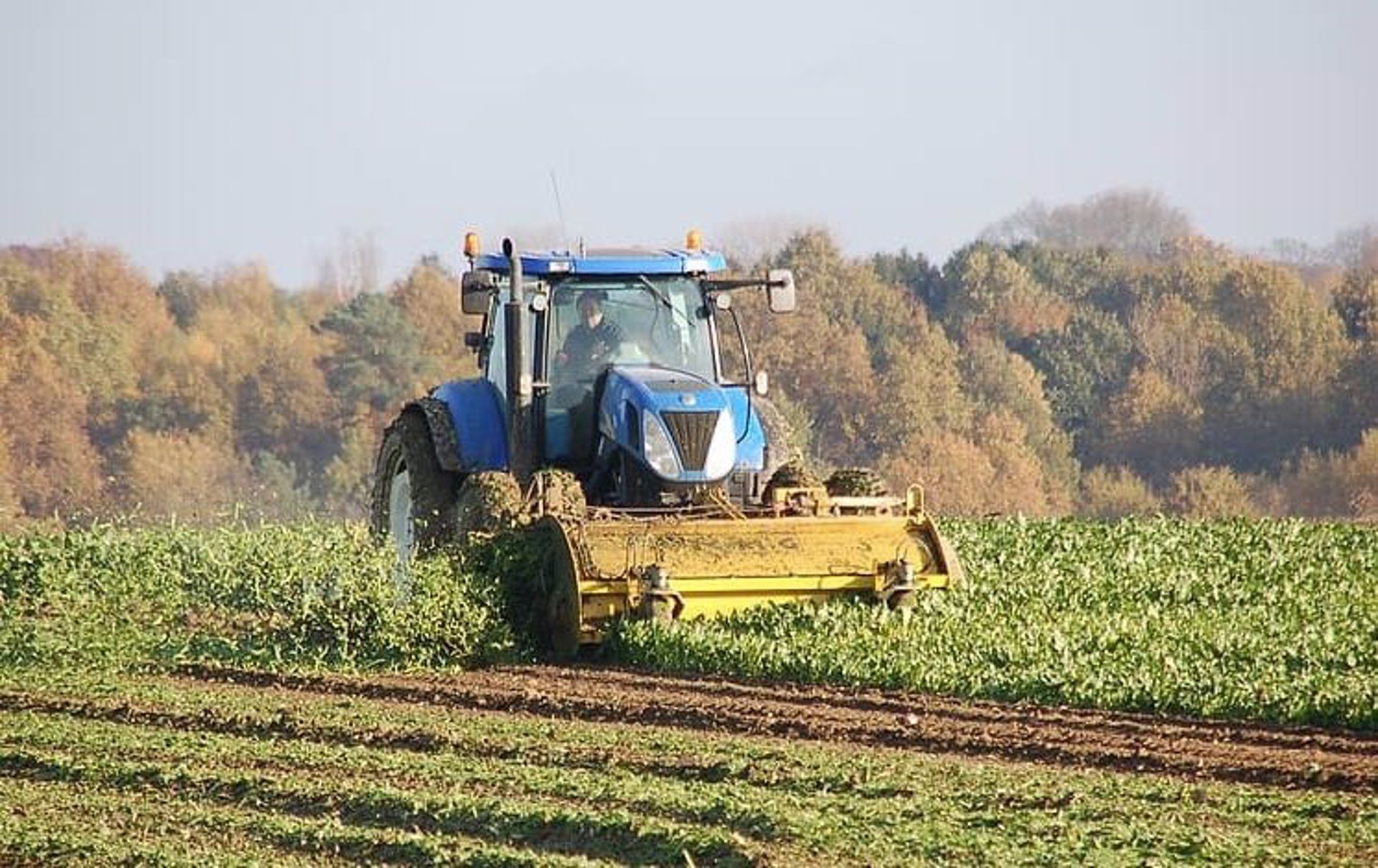 Biocarbón en la agricultura.