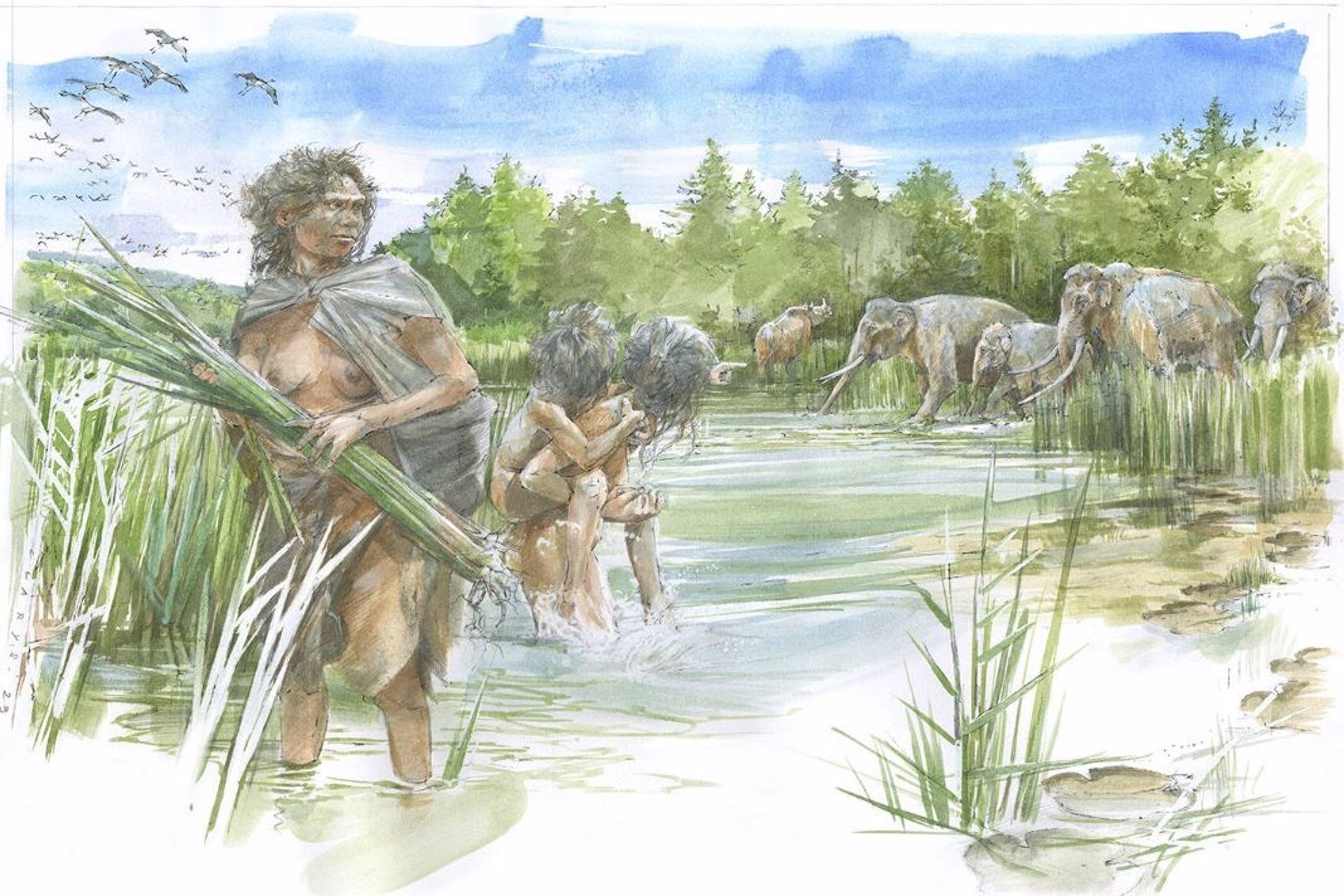 Huellas humanas más antiguas conocidas.