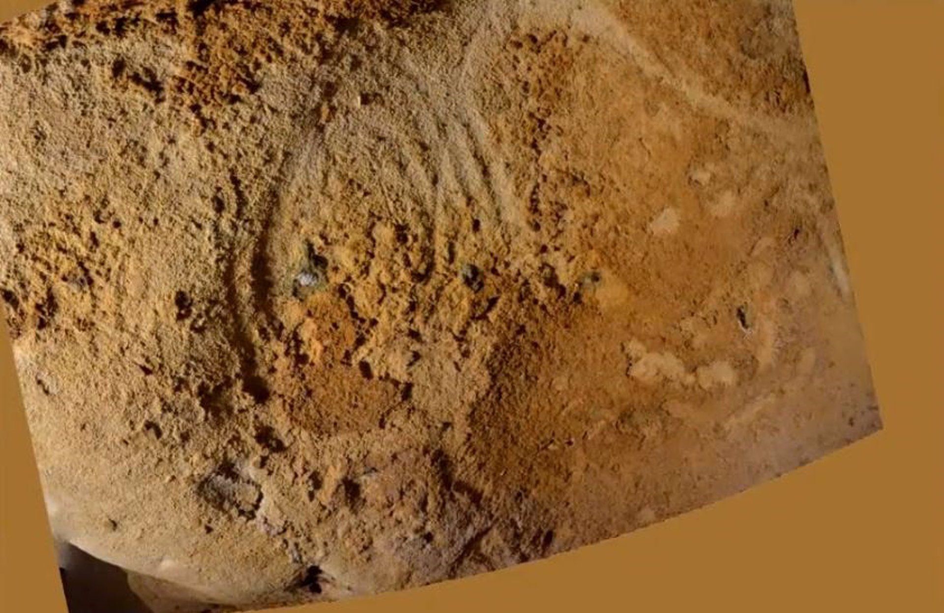 Descubren la cueva con grabados neandertales más antigua de Europa
