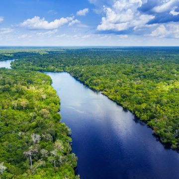Deforestación de la Amazonía cae 34% este año con medidas de “Lula” da Silva