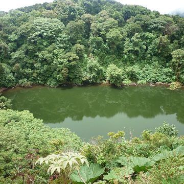 Constitucional da 6 meses a ministro de Ambiente para recuperar zonas protegidas en montañas de Barva-Zurquí que son invadidas por fincas