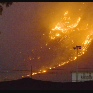 Incendios forestales en Hawái se convierten en tragedia histórica al cobrar ya 67 vidas