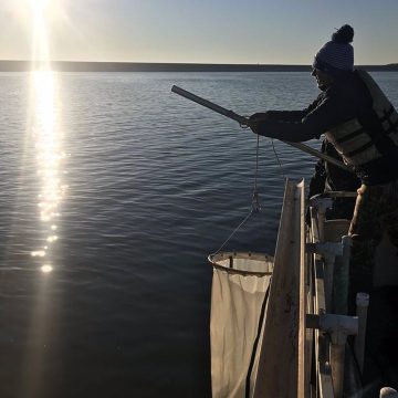 Sorprendente contaminación por microplásticos en lagos y embalses