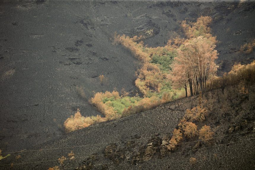 Los rayos secos pueden provocar incendios forestales incluso en condiciones más húmedas