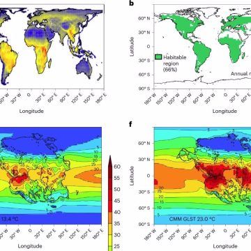 Los mamíferos sucumbirían al calor como lo hicieron los dinosaurios al asteroide