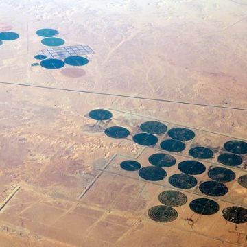Solución de expertos: Capturar carbono de la atmósfera en los desiertos al reverdecerlos