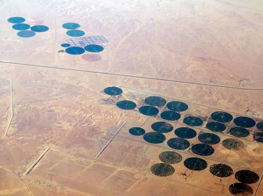 Solución de expertos: Capturar carbono de la atmósfera en los desiertos al reverdecerlos