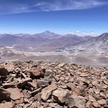 Momias de ratón en Atacama.