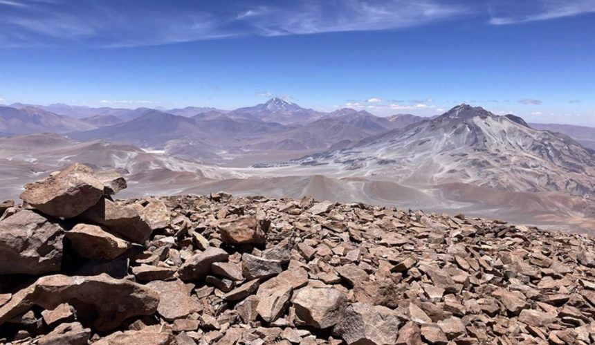Momias de ratón en Atacama.